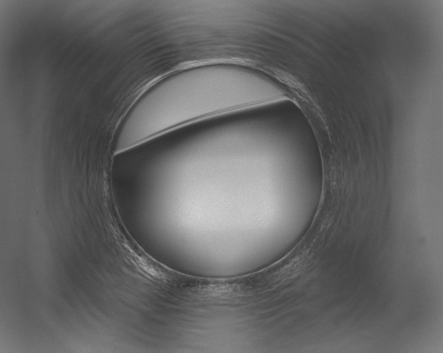 X0000054381177200507290849