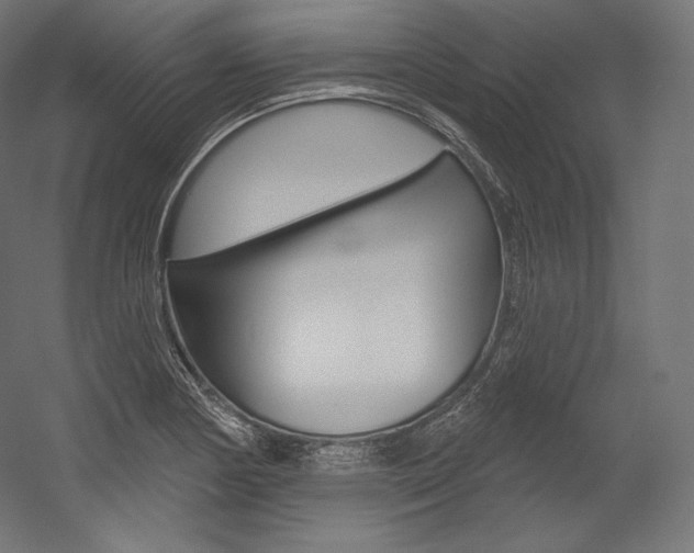 X0000054381178200507290849