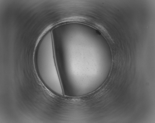 X0000054381180200507290849