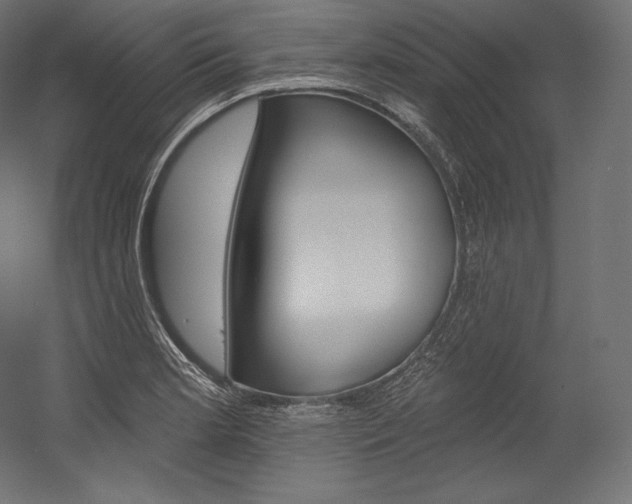 X0000054381181200507290849