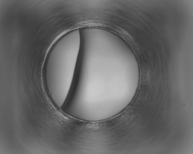 X0000054381182200507290849