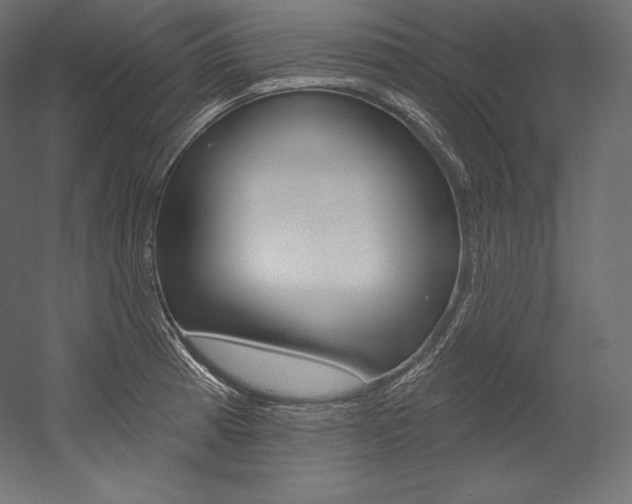 X0000054381185200507290849
