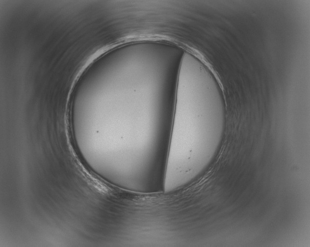 X0000054381187200507290849