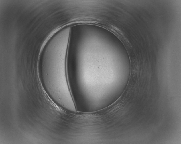 X0000054381188200507290849