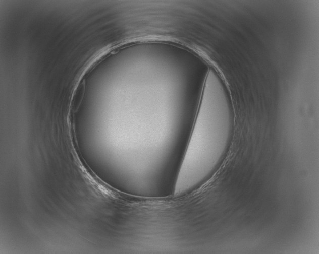 X0000054381189200507290849