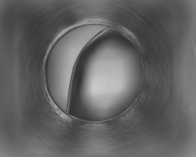 X0000054381192200507290849