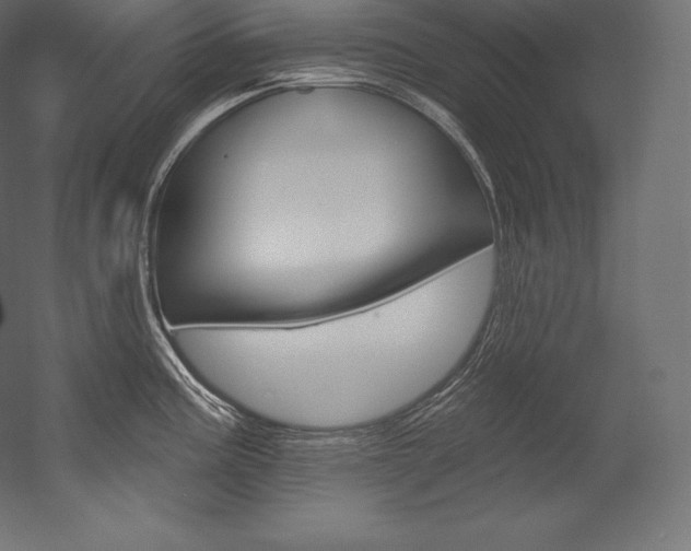 X0000054381195200507290849