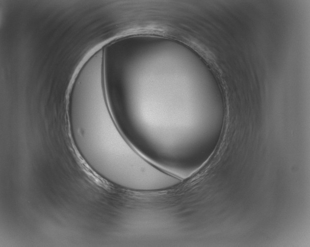 X0000054381200200507290849