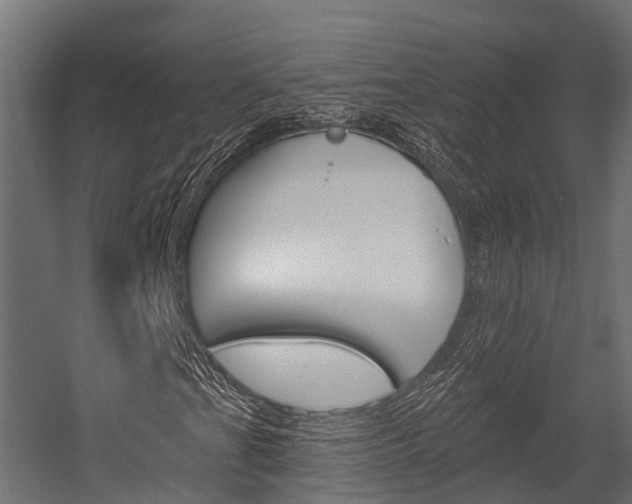 X0000054381201200507290848