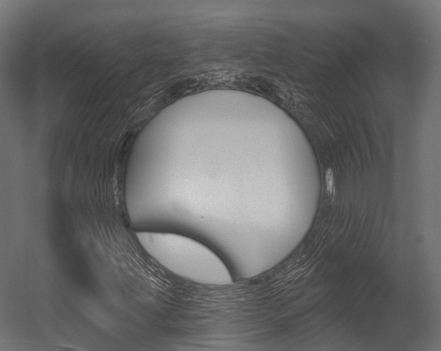 X0000054381203200507290848