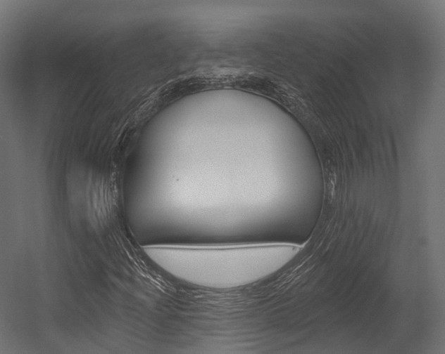 X0000054381204200507290848