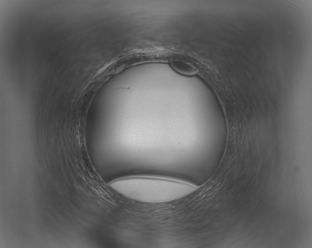 X0000054381205200507290848