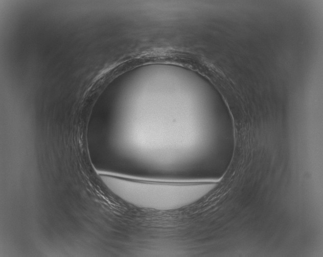 X0000054381206200507290848