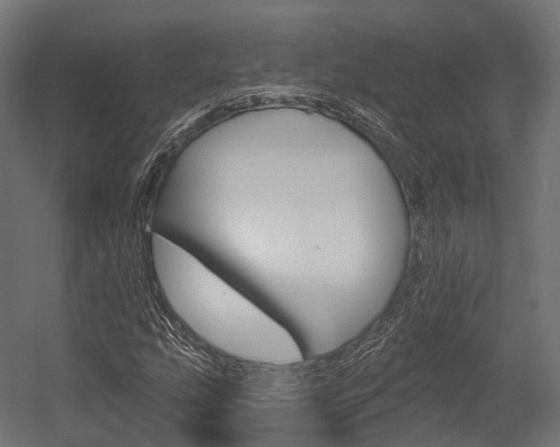X0000054381207200507290848