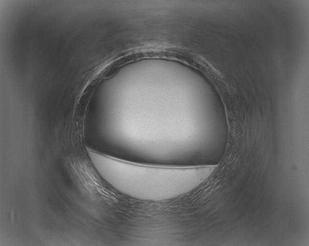 X0000054381208200507290848