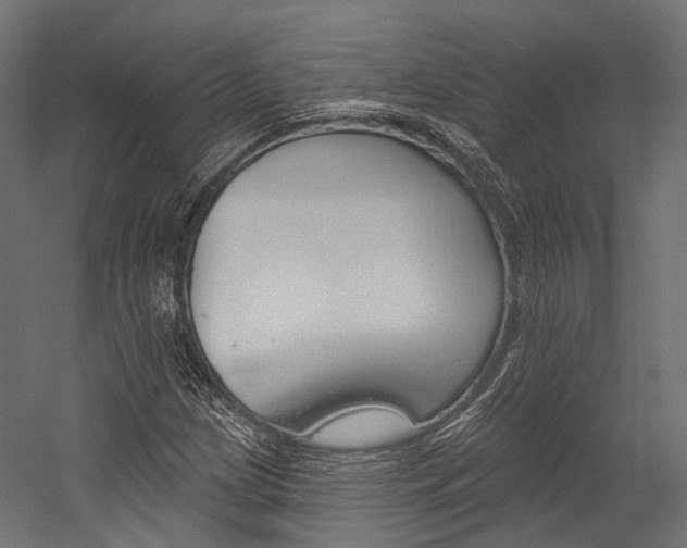 X0000054381209200507290848