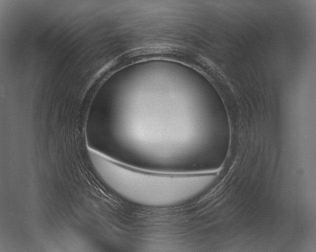X0000054381210200507290848