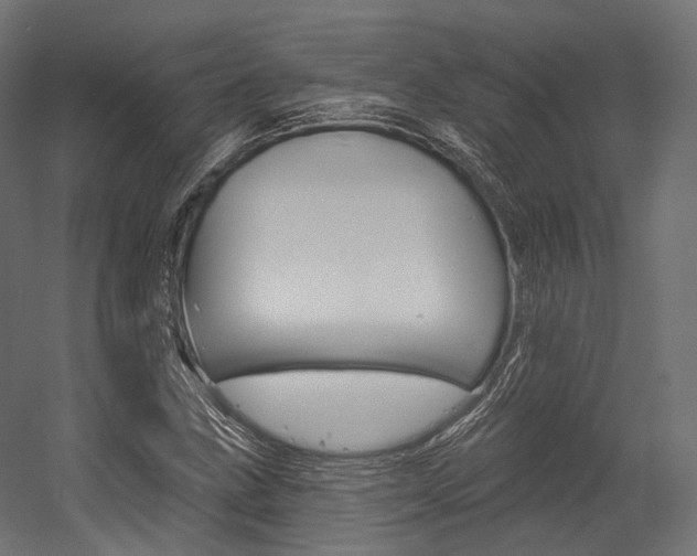 X0000054381211200507290848