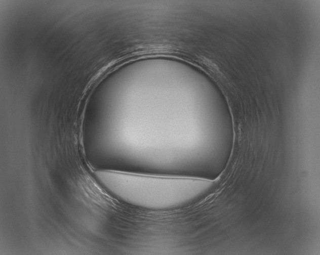 X0000054381212200507290848