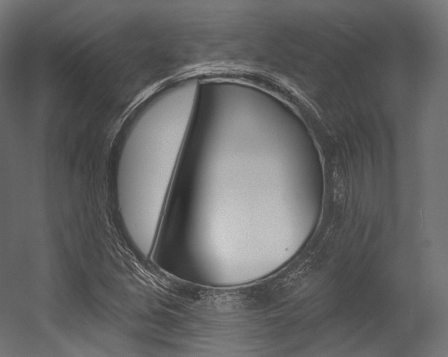X0000054381213200507290848
