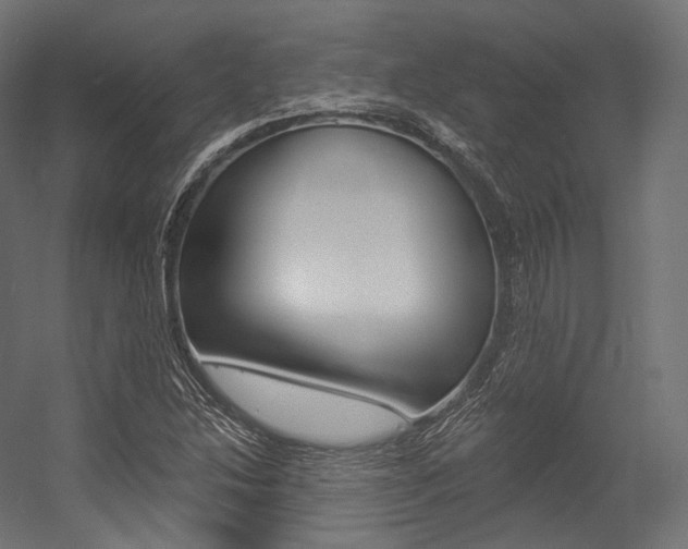 X0000054381214200507290848