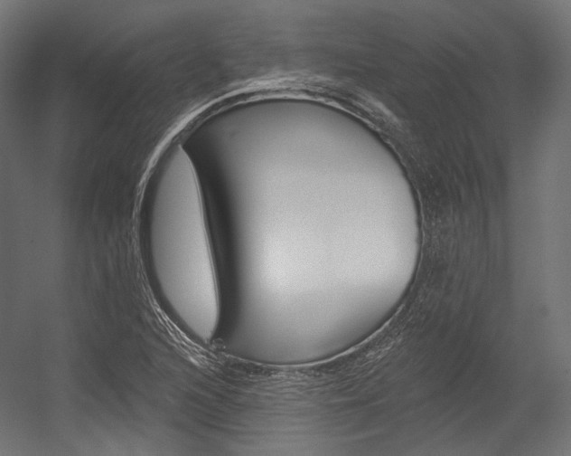 X0000054381216200507290848