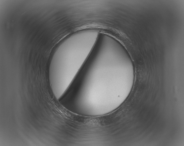 X0000054381217200507290848