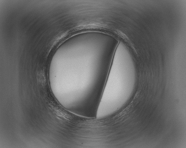 X0000054381218200507290848