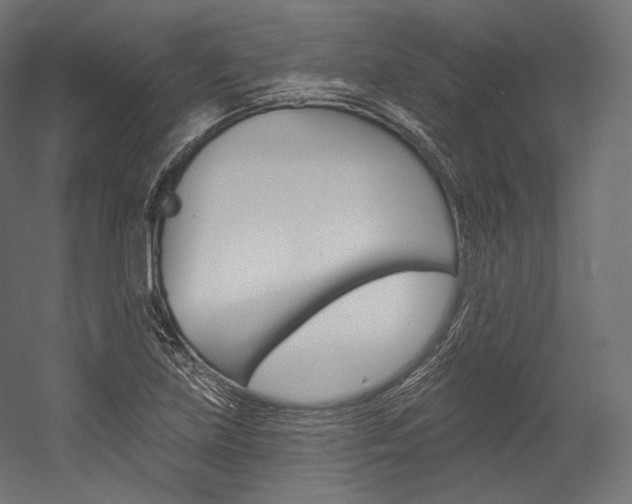 X0000054381219200507290848