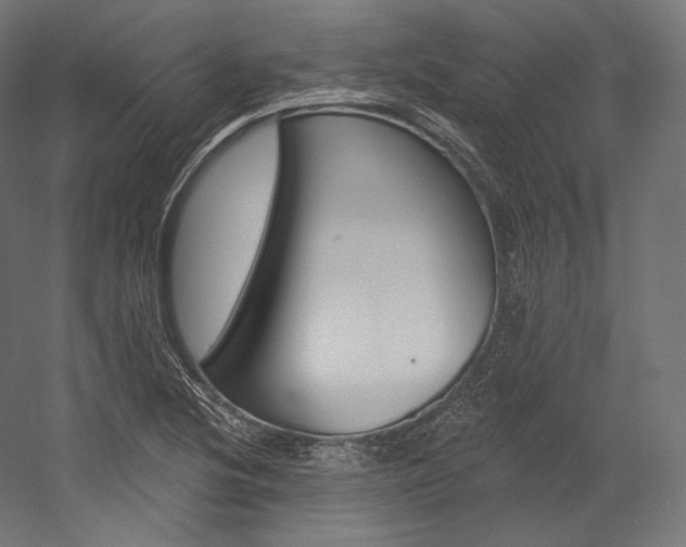 X0000054381220200507290848