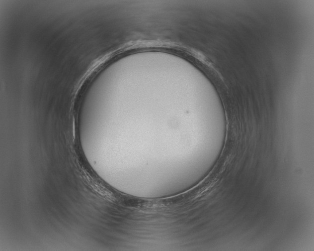 X0000054381221200507290848