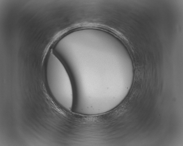 X0000054381223200507290848