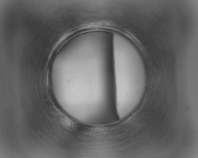 X0000054381224200507290848