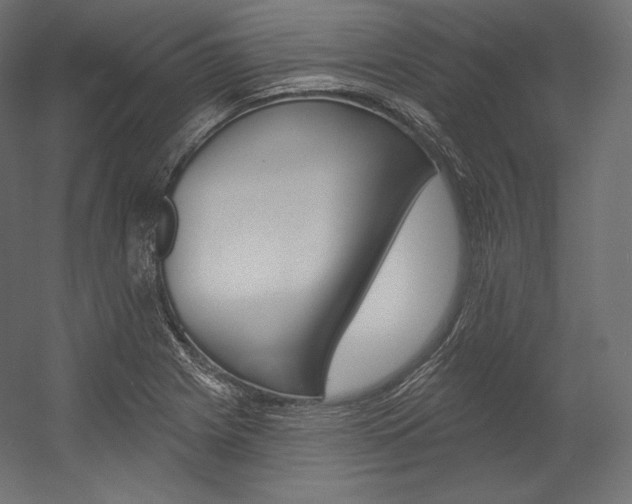 X0000054381225200507290848