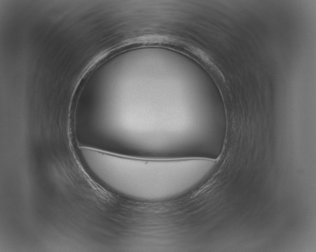 X0000054381229200507290848