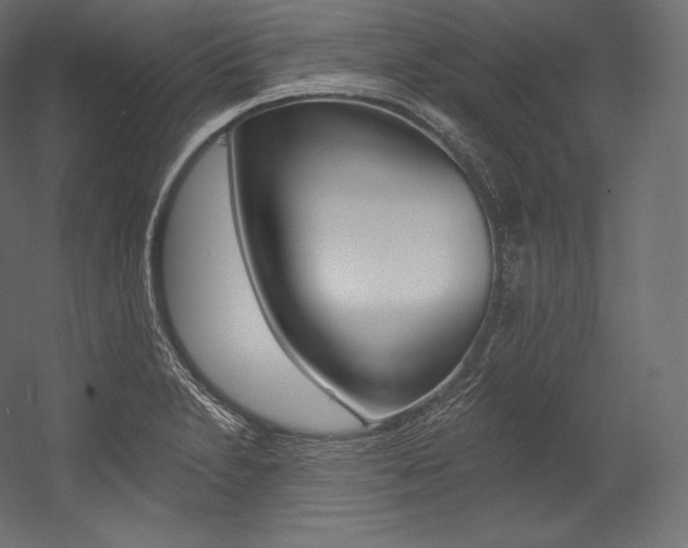 X0000054381230200507290848