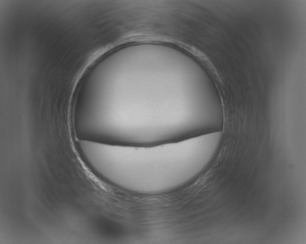 X0000054381231200507290848