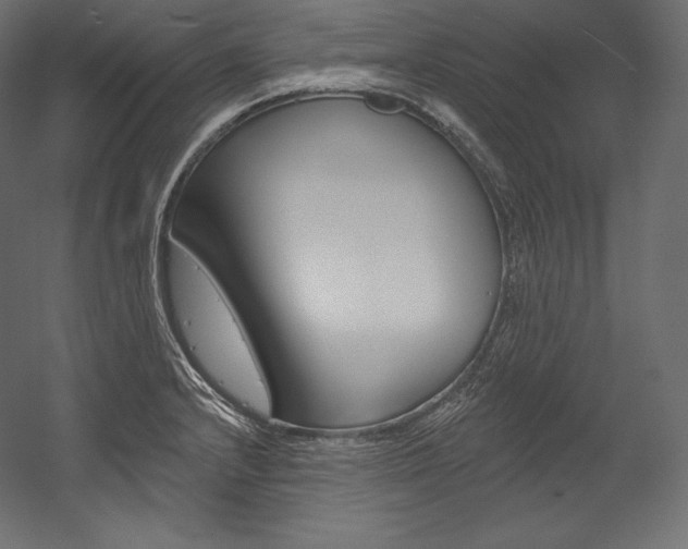X0000054381232200507290848