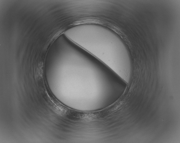 X0000054381233200507290848