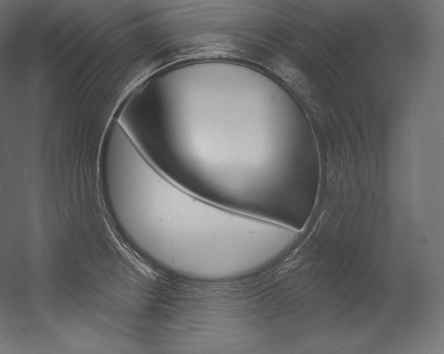X0000054381234200507290848