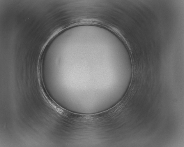 X0000054381235200507290848