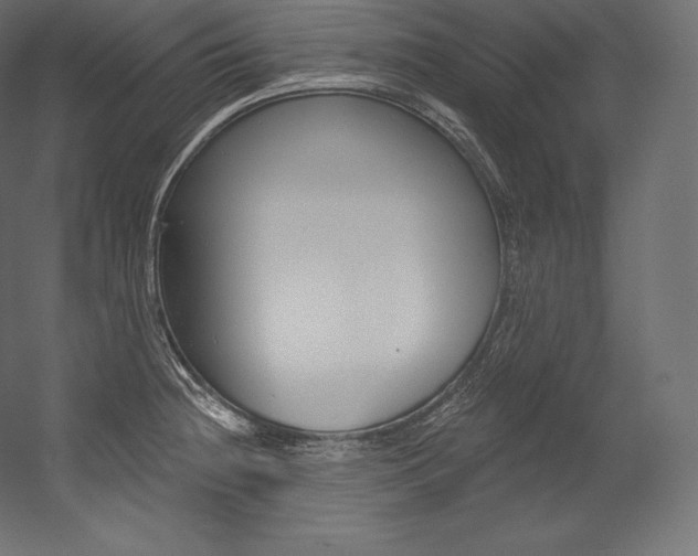X0000054381236200507290848