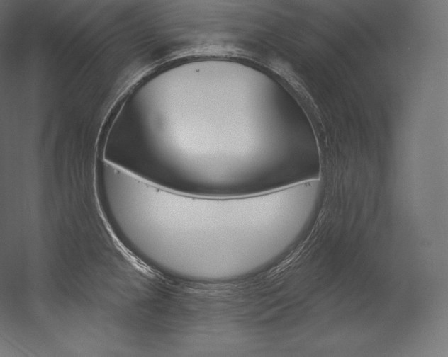 X0000054381237200507290848