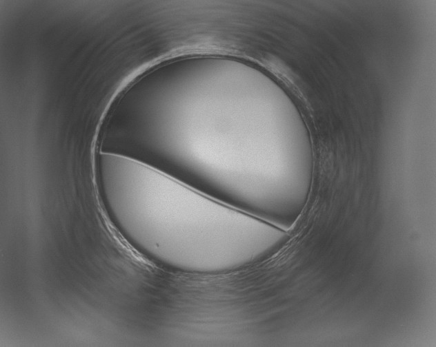X0000054381238200507290848