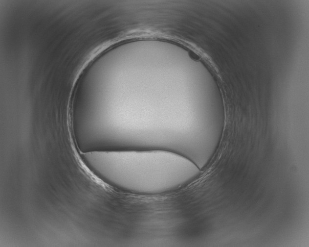 X0000054381239200507290848