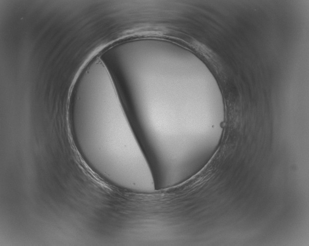 X0000054381240200507290848