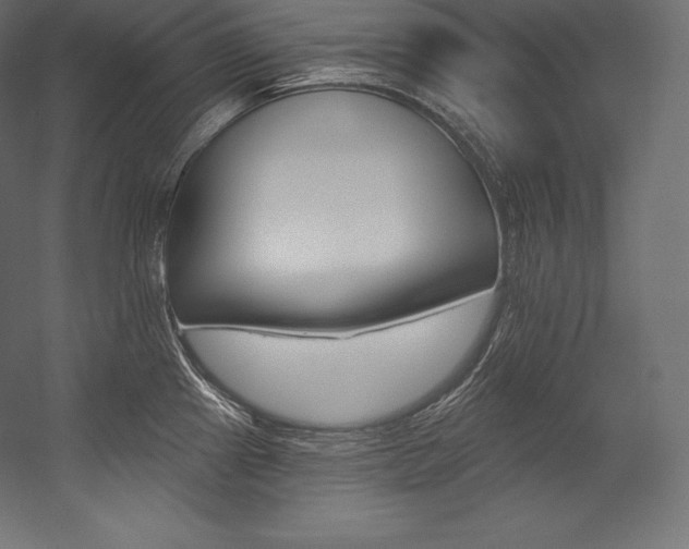X0000054381241200507290848