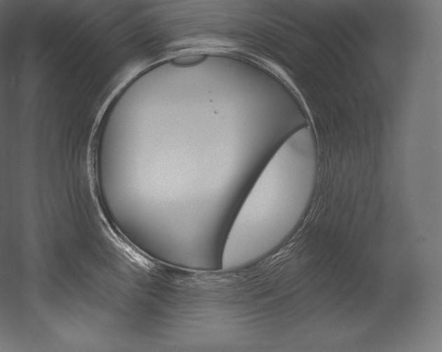 X0000054381243200507290848