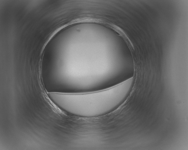 X0000054381244200507290848