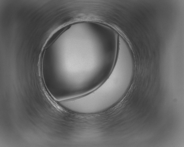 X0000054381246200507290849